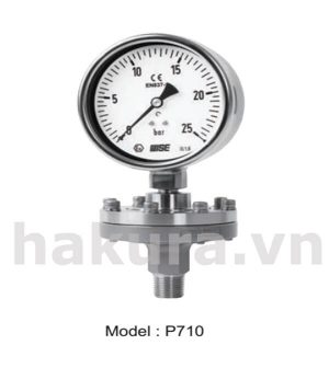 Đồng hồ đo áp suất Wise model p710