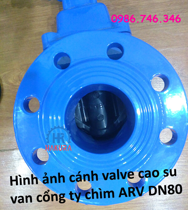 Hình ảnh cánh valve cao su của van cổng ty chìm ARV DN80